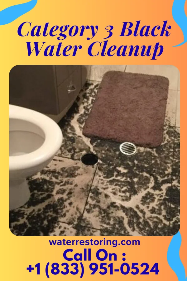 Category 3 Black Water Cleanup in Meeteetse, WY