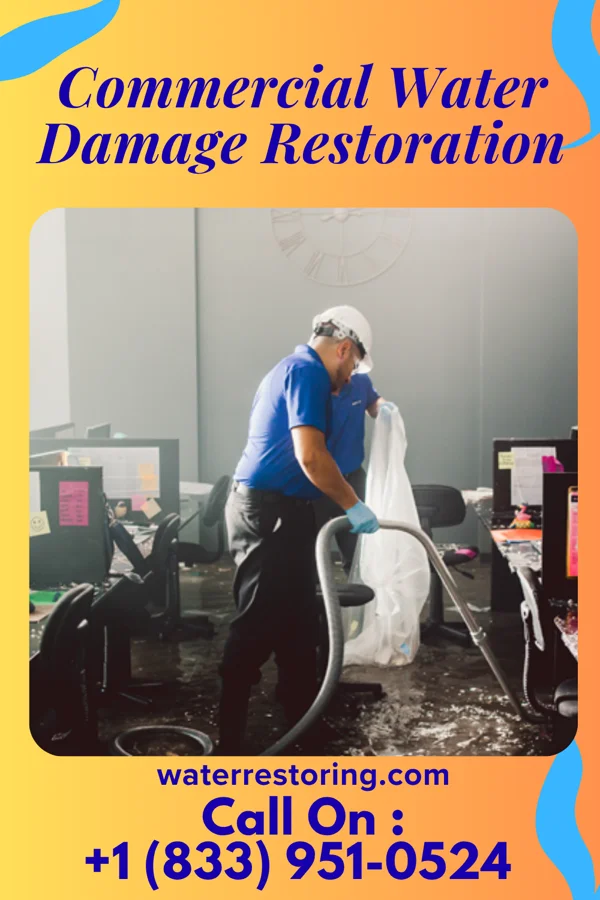 Commercial Water Damage Restoration in Meeteetse, WY