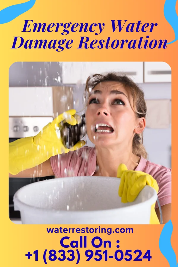 Emergency Water Damage Restoration in Meeteetse, WY